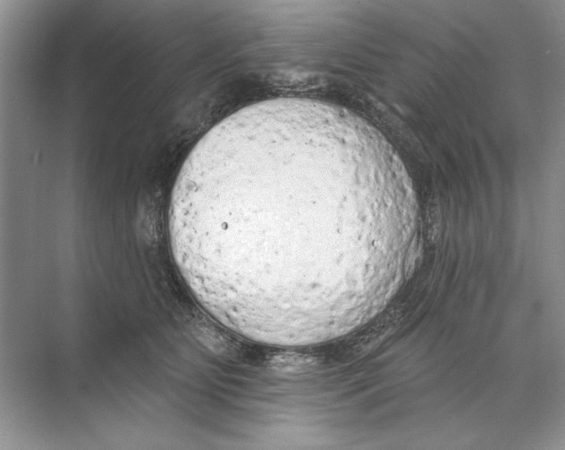 X0000074300515200609222338