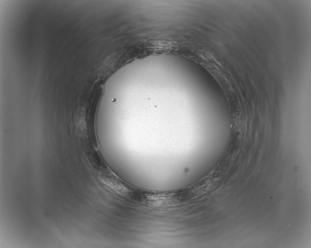 X0000074300516200609222338