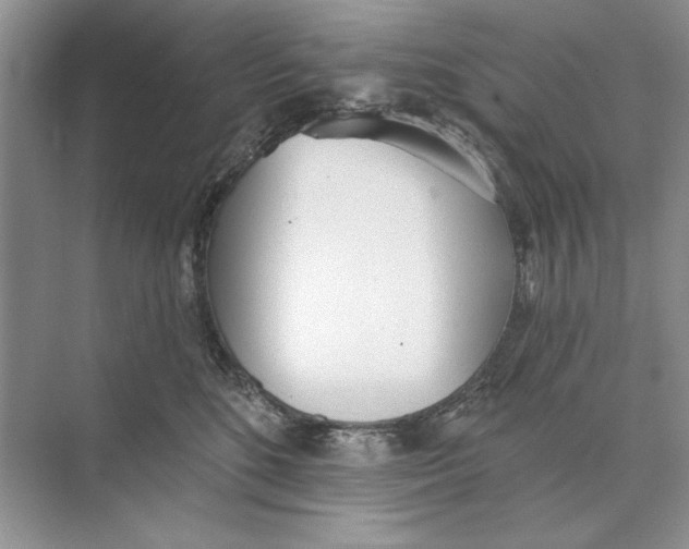 X0000074300520200609222338