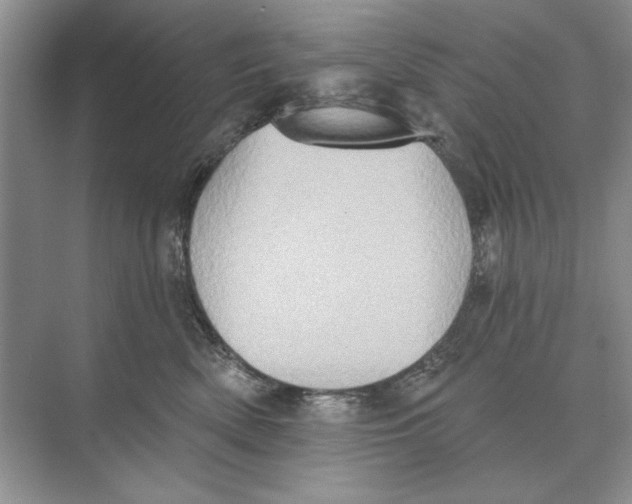 X0000074300522200609222338