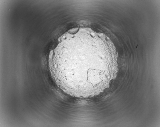 X0000074300523200609222338