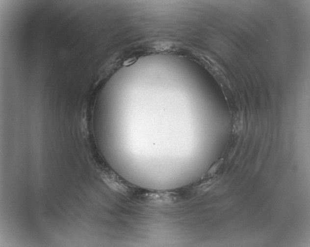 X0000074300524200609222338