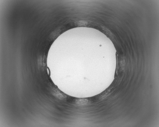 X0000074300525200609222338