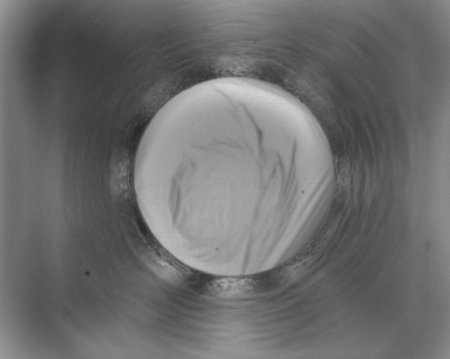 X0000074300526200609222338