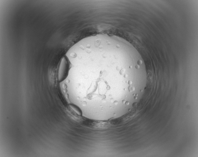 X0000074300527200609222338