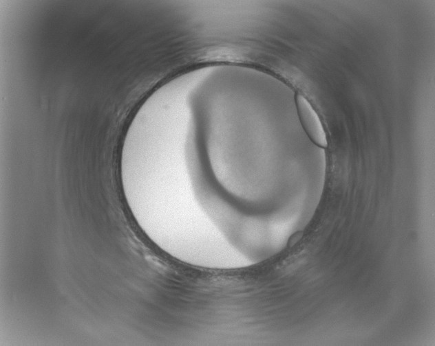 X0000074300529200609222337