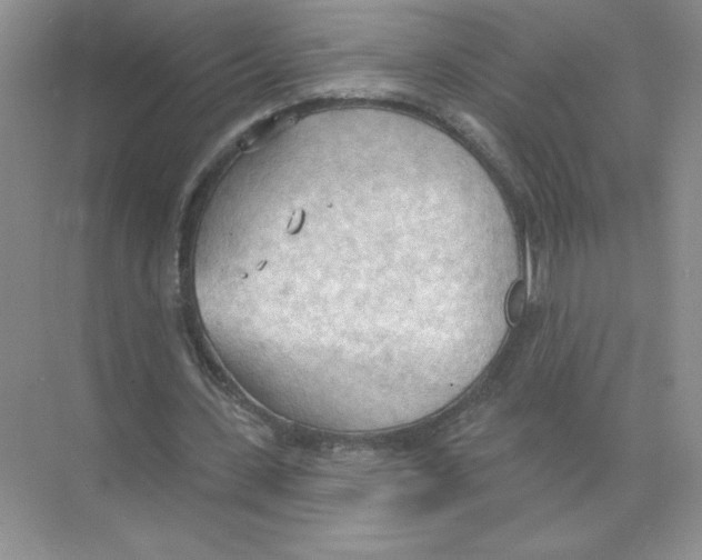 X0000074300531200609222337