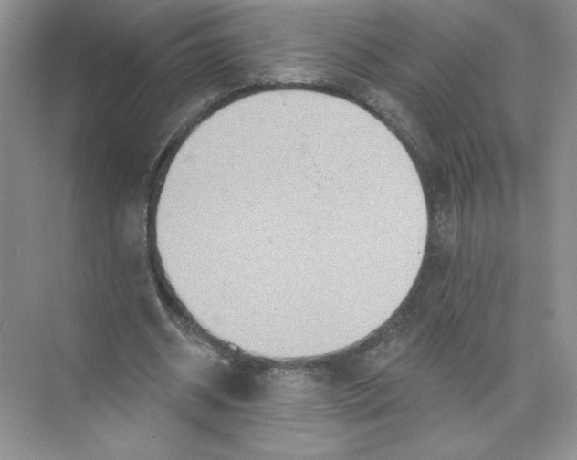 X0000074300534200609222337