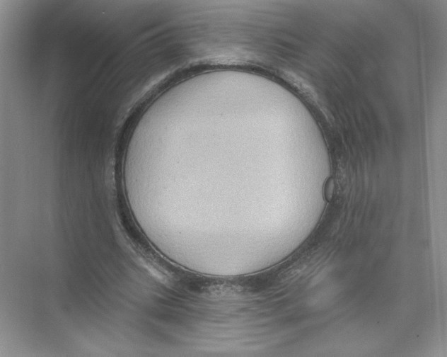 X0000074300535200609222337