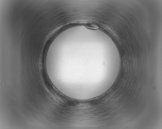 X0000074300536200609222337