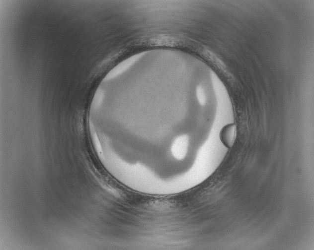 X0000074300537200609222337