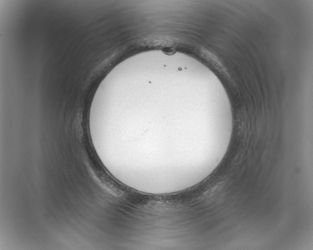 X0000074300538200609222337