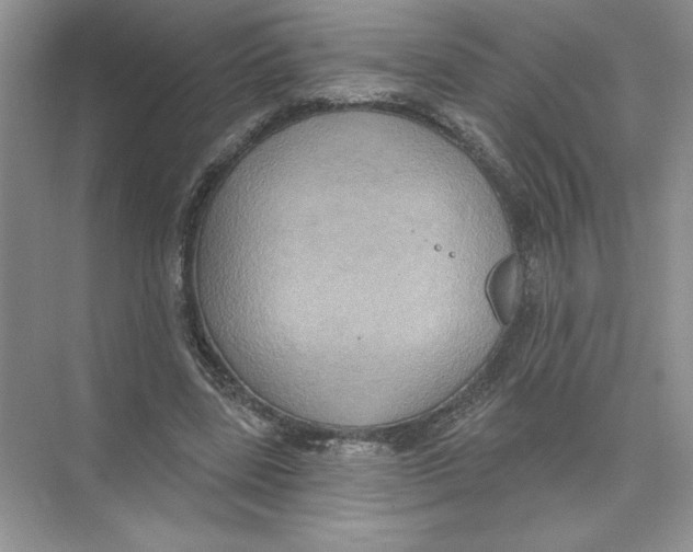 X0000074300539200609222337