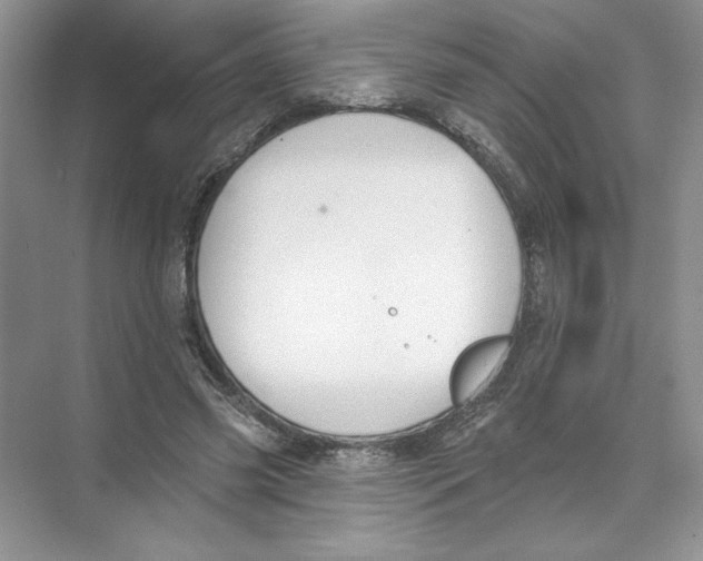 X0000074300541200609222337