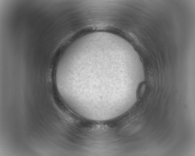 X0000074300543200609222337