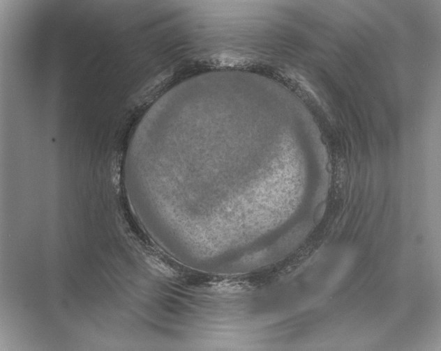 X0000074300545200609222337