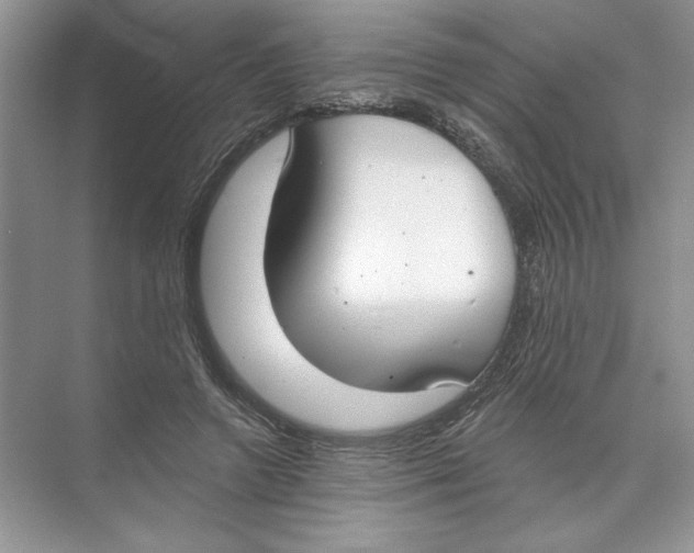 X0000074300546200609222337