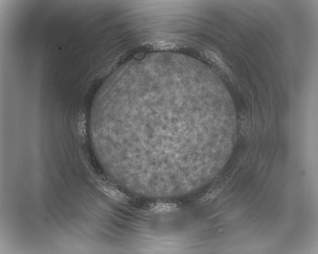 X0000074300549200609222337