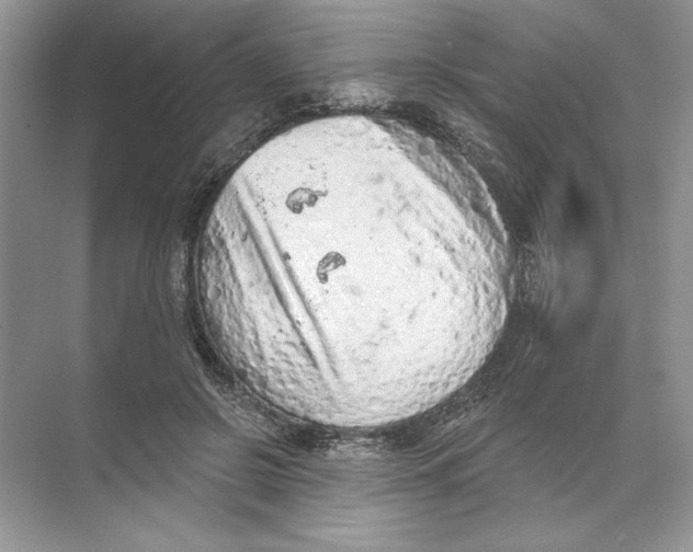 X0000074300550200609222337