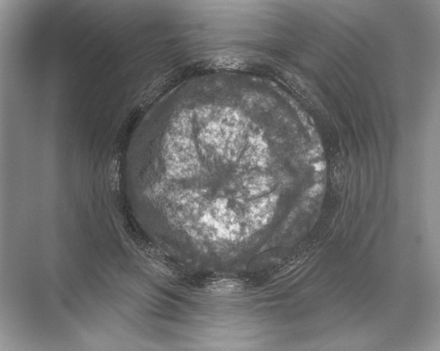 X0000074300551200609222337