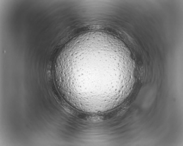 X0000074300553200609222338