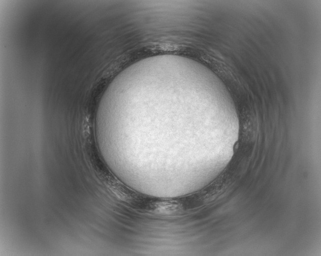 X0000074300555200609222338