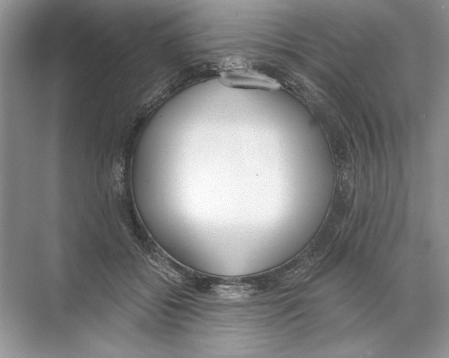 X0000074300556200609222338