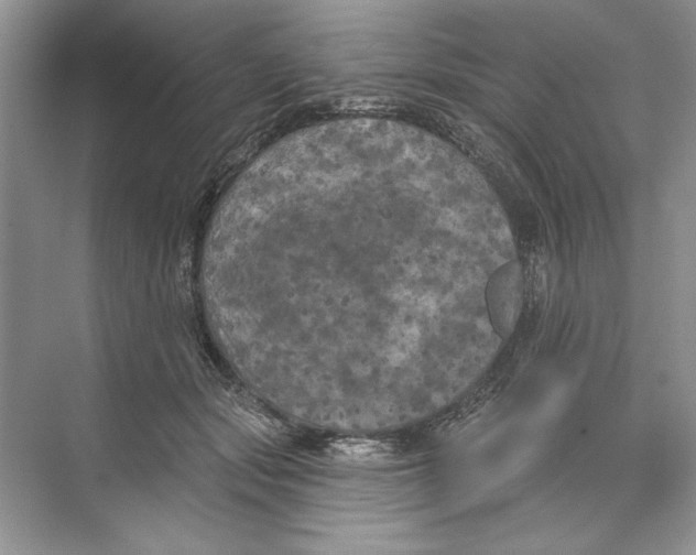 X0000074300557200609222338