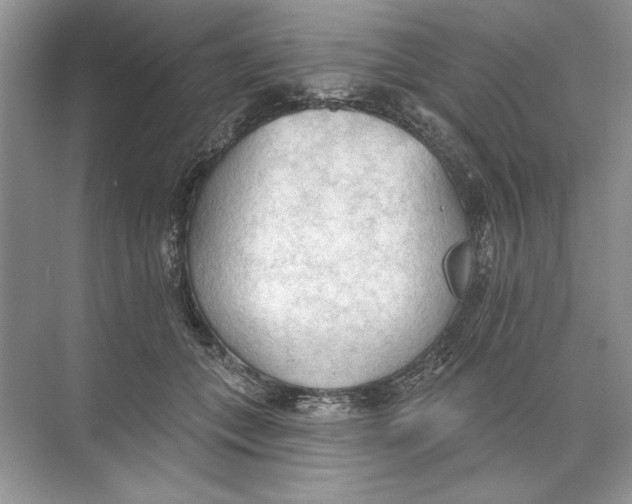 X0000074300559200609222338