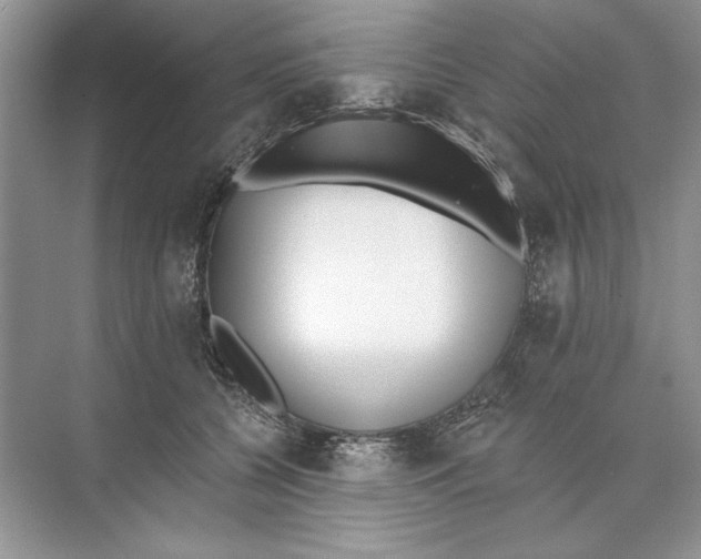 X0000074300560200609222338