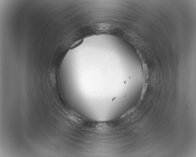 X0000074300562200609222338