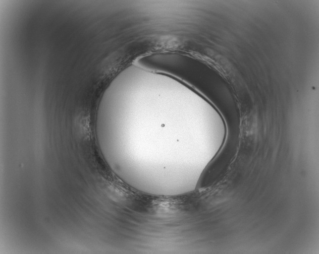 X0000074300564200609222338