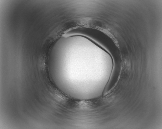 X0000074300566200609222338