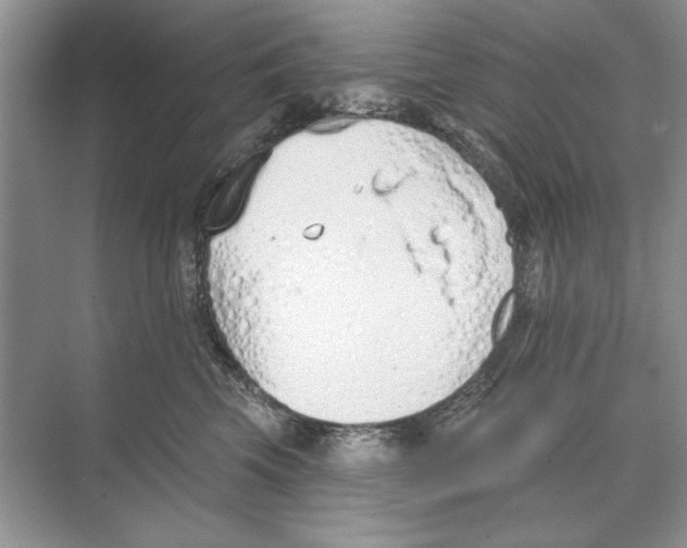 X0000074300569200609222338