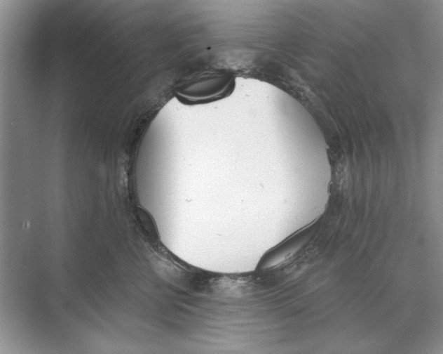 X0000074300570200609222338