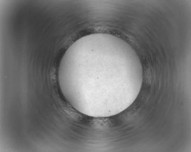 X0000074300571200609222338