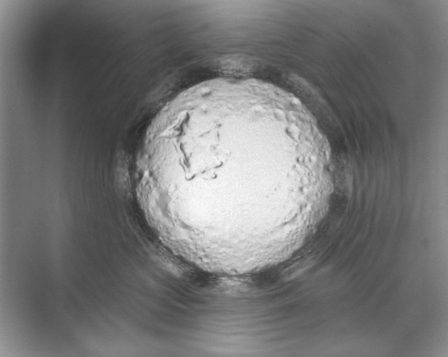 X0000074300573200609222338