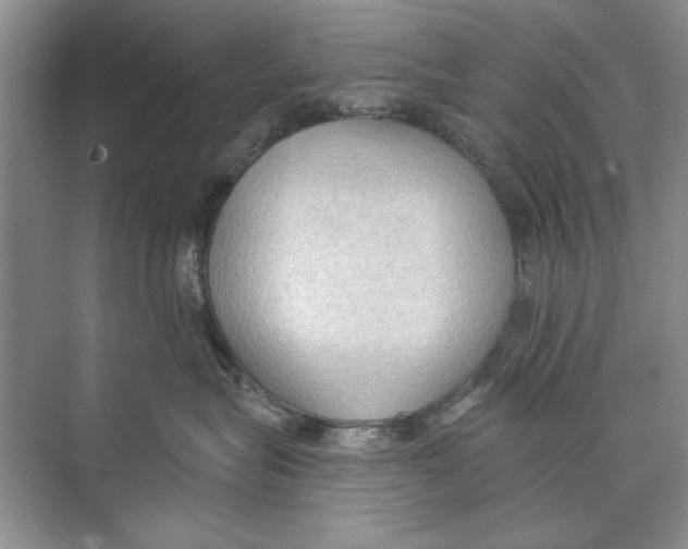 X0000074300575200609222338