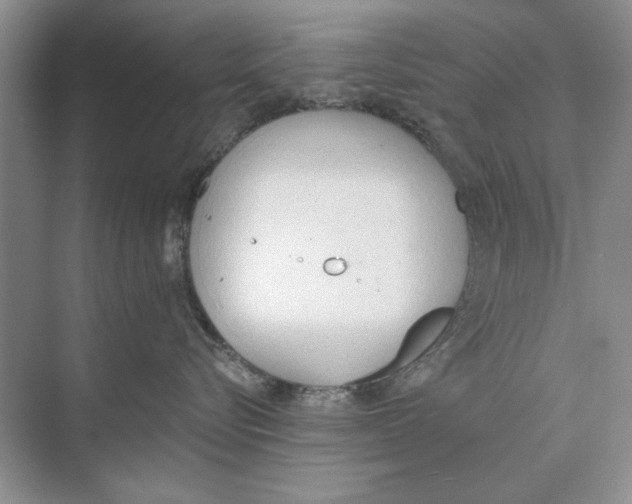 X0000074300576200609222338