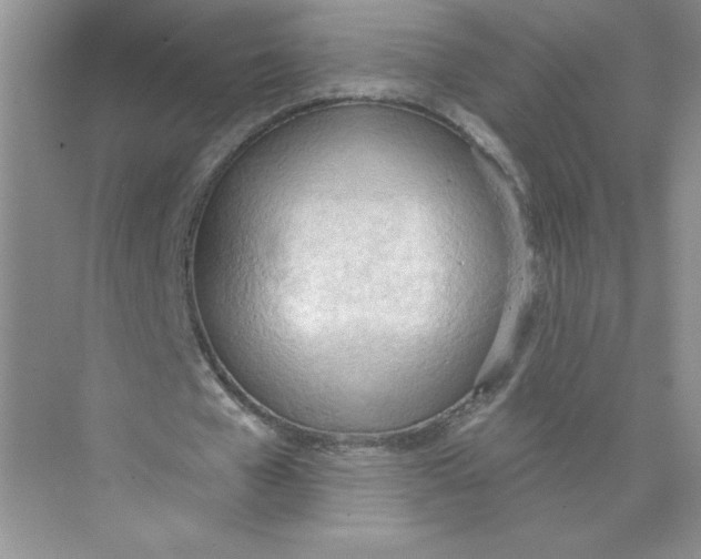 X0000074300577200609222337