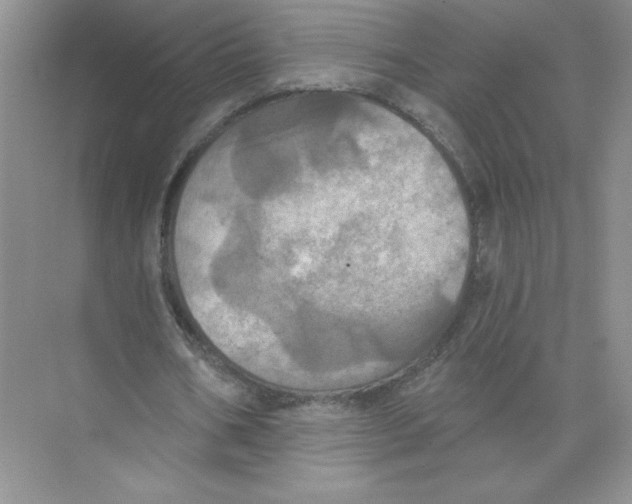 X0000074300578200609222337