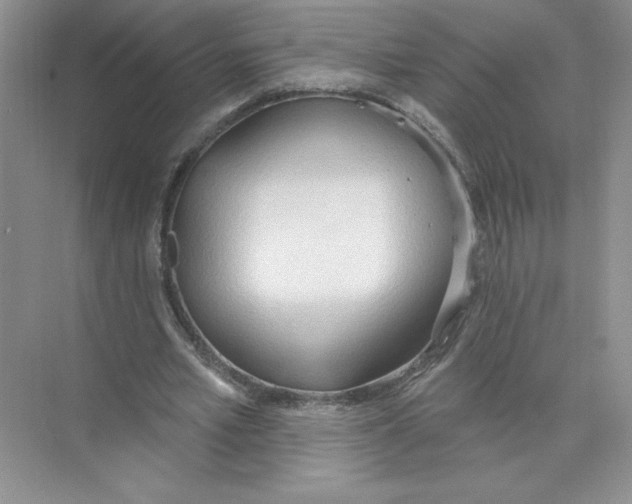 X0000074300581200609222337