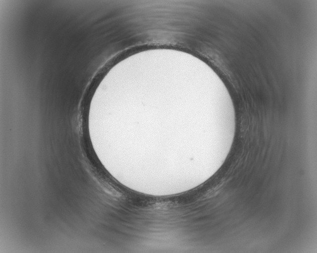 X0000074300584200609222337