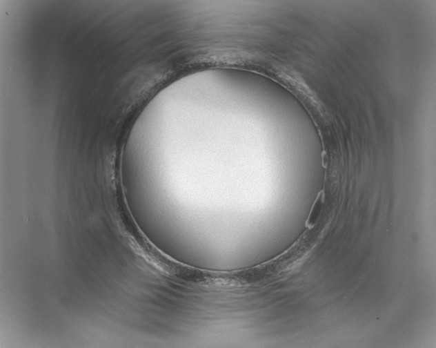 X0000074300585200609222337