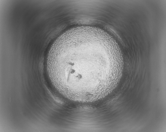 X0000074300586200609222337