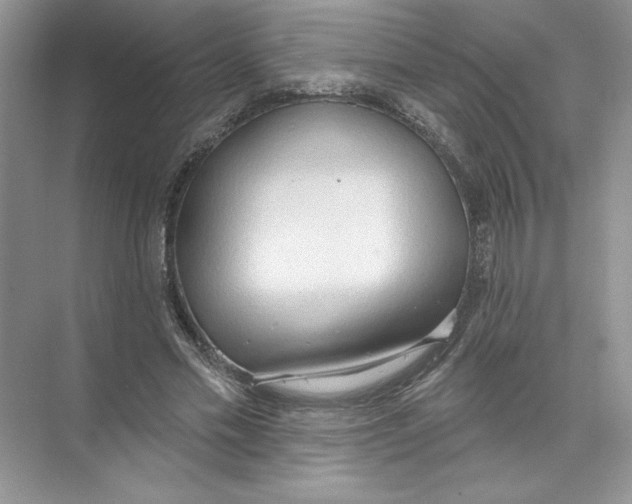 X0000074300589200609222337