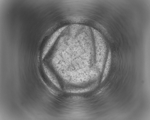 X0000074300590200609222337