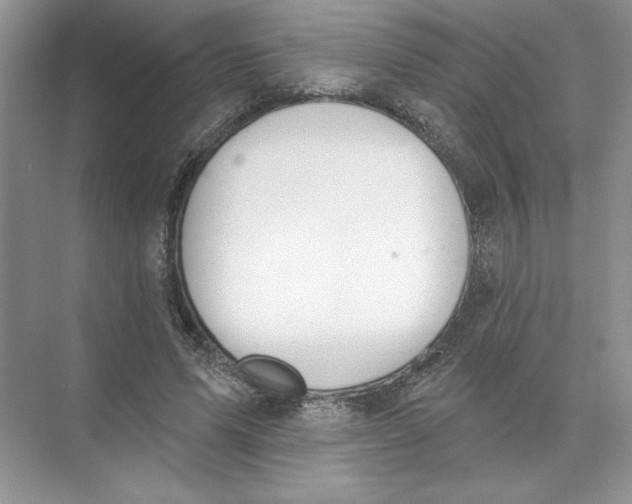 X0000074300591200609222337