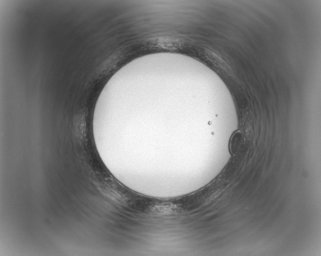 X0000074300595200609222337