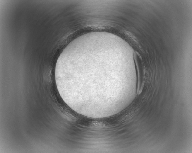 X0000074300596200609222337